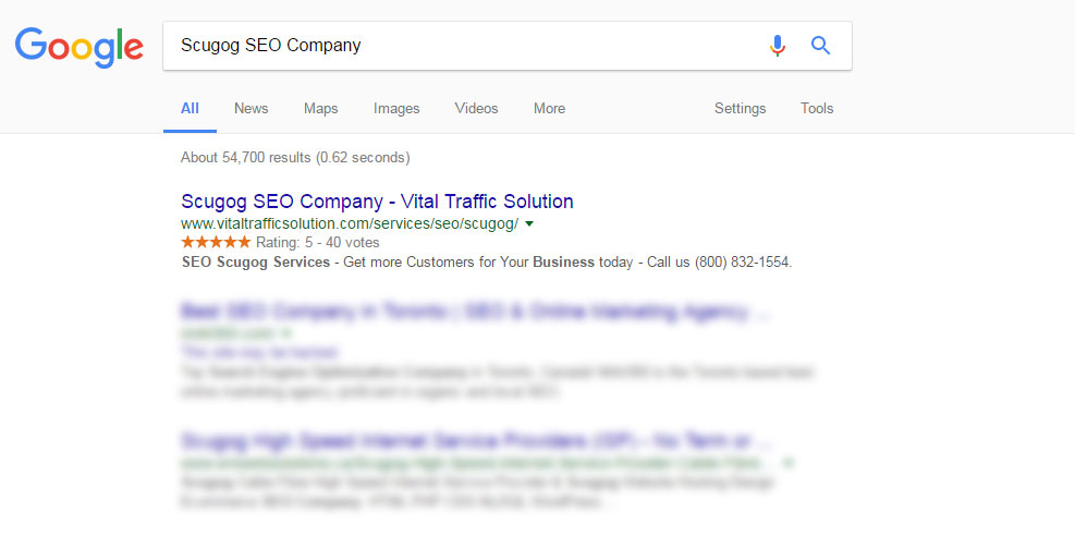 best SEO company in Scugog